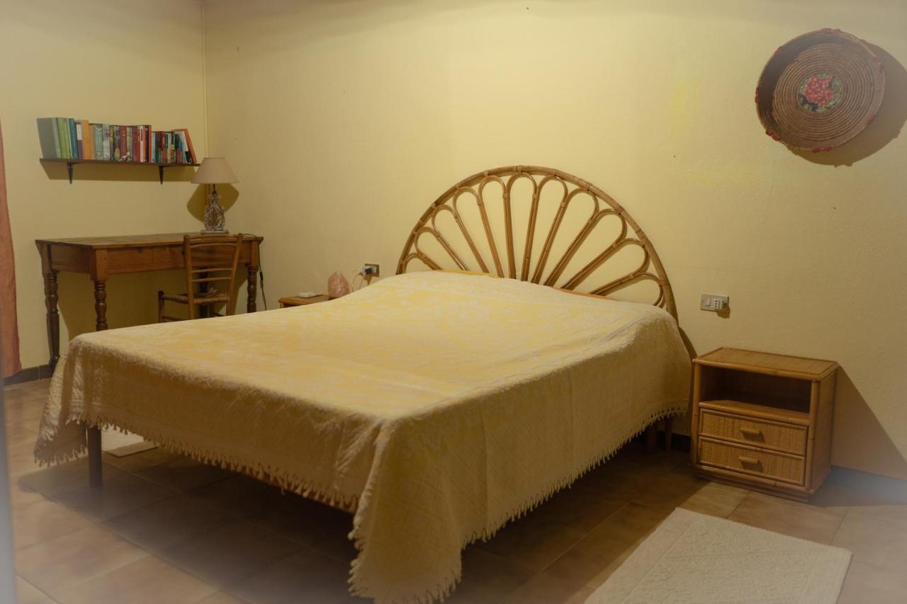 Sa Domu De Ladiri - Matrimoniale Con Giardino Bed & Breakfast Musei Ngoại thất bức ảnh