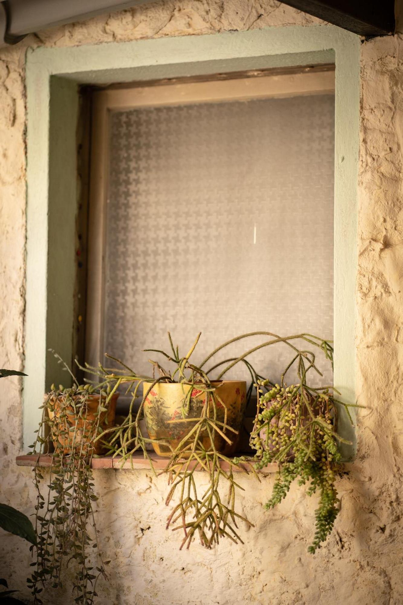 Sa Domu De Ladiri - Matrimoniale Con Giardino Bed & Breakfast Musei Ngoại thất bức ảnh
